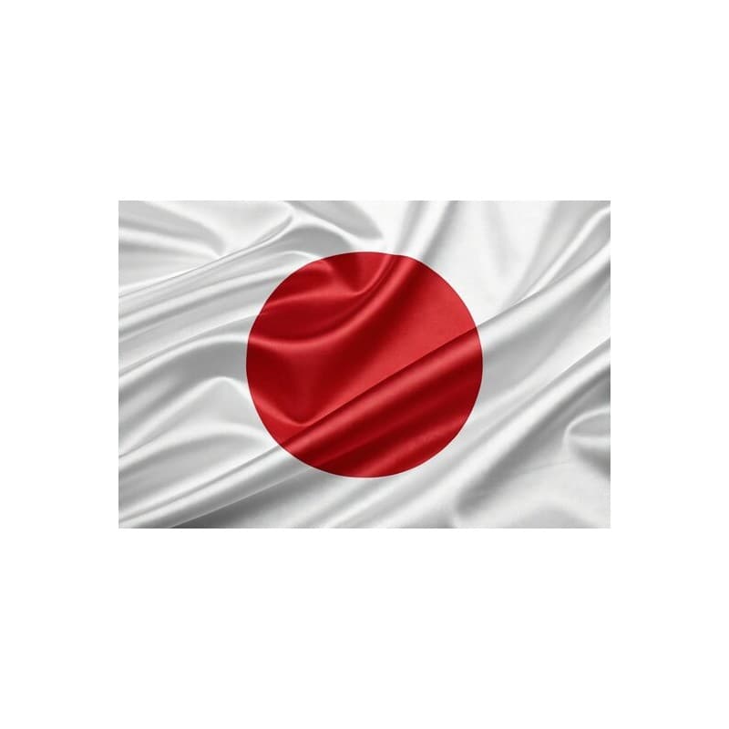 JAPAN (30 Days) 4G RAM RDP Admin Port 25